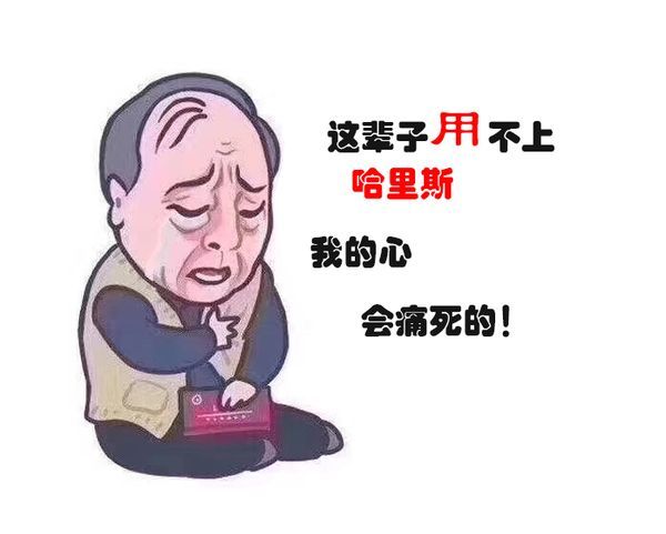 /uploads/20231120/e00975403fb35db926350b98e676a71f_800x800.jpg